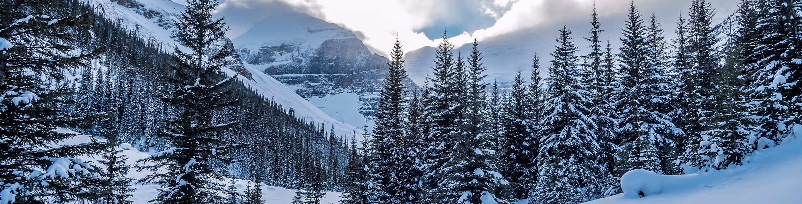 Snow-covered mountains